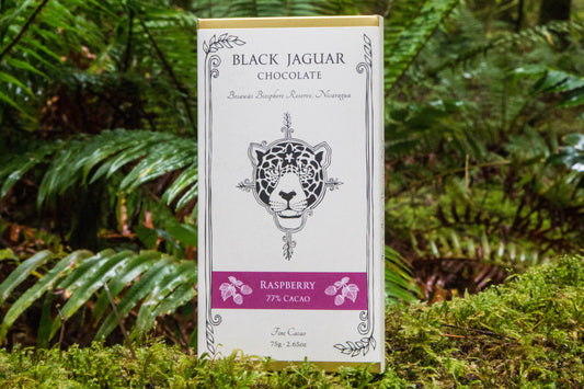 Raspberry - 77% Cacao