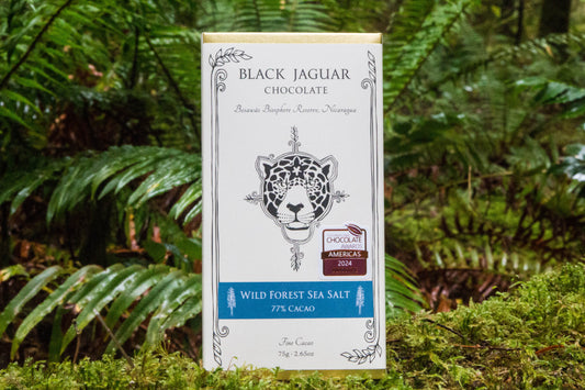Wild Forest Sea Salt - 77% Cacao